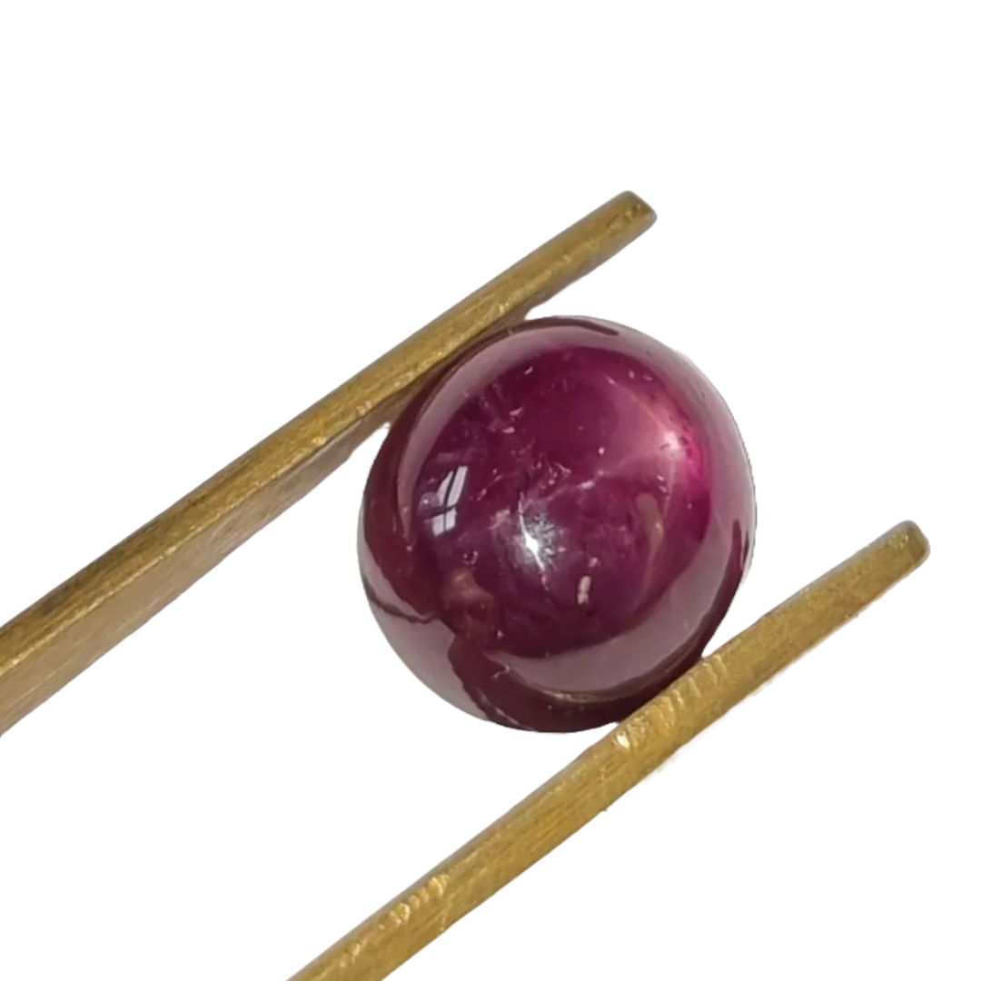 India Natural Star Ruby 6 Pointed (Asterism) 6.7ct