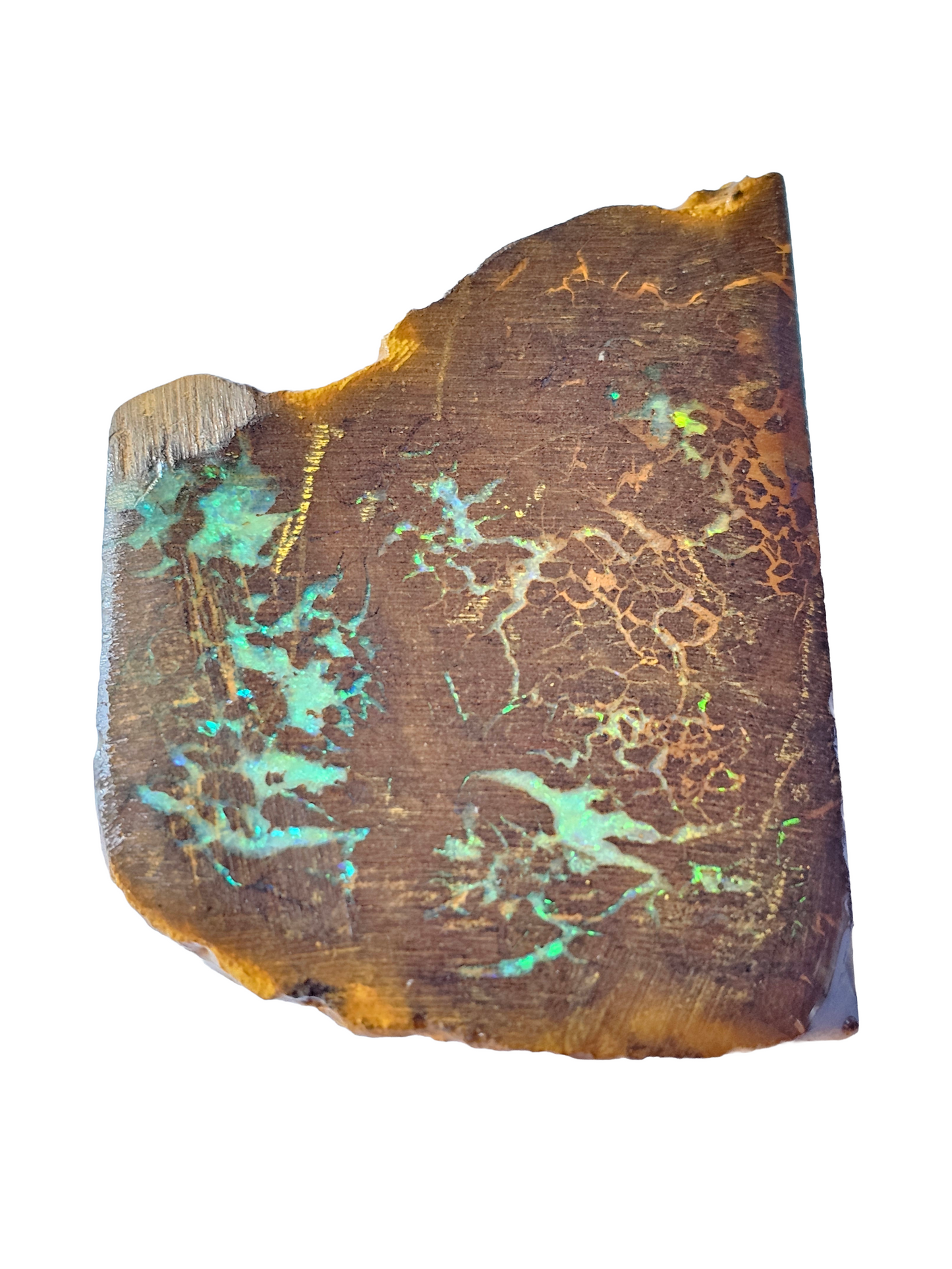 Rough Australian Boulder Opal 28g