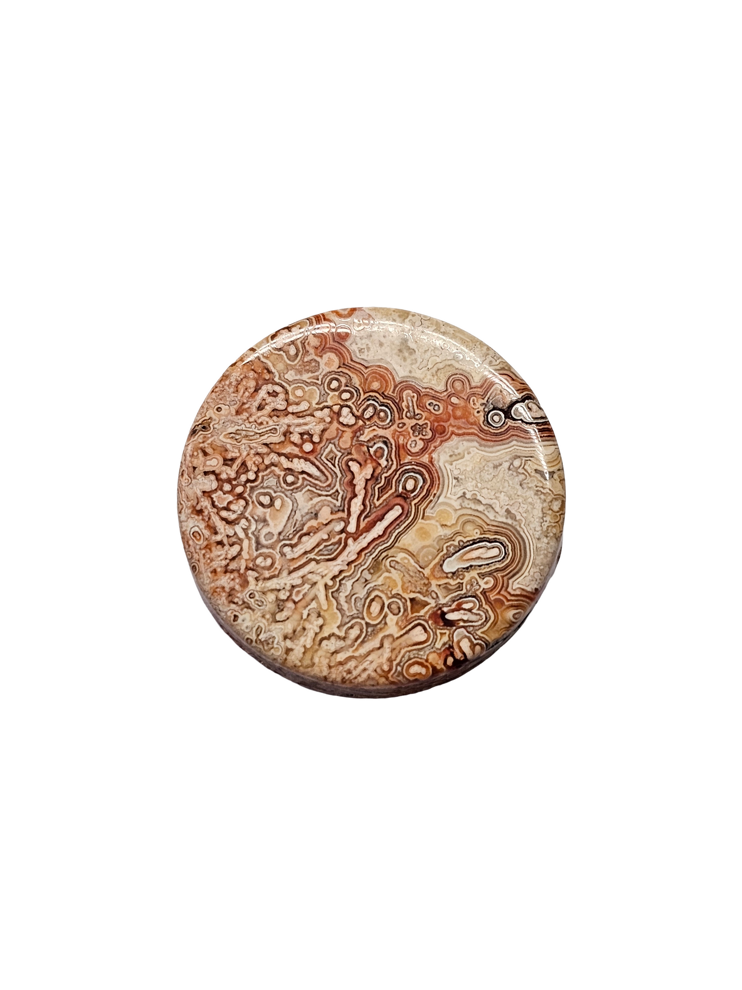 Mexican Crazy Lace Agate Round Cabochon 19x19x5mm