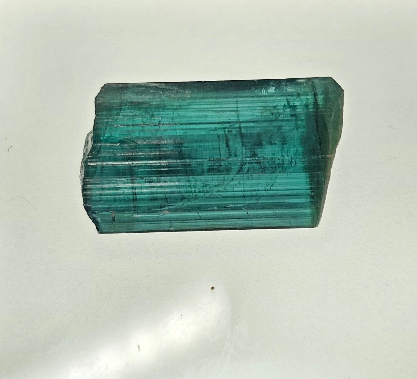 Rough Afghanistan Indicolite (blue-green) Tourmaline 11.89ct