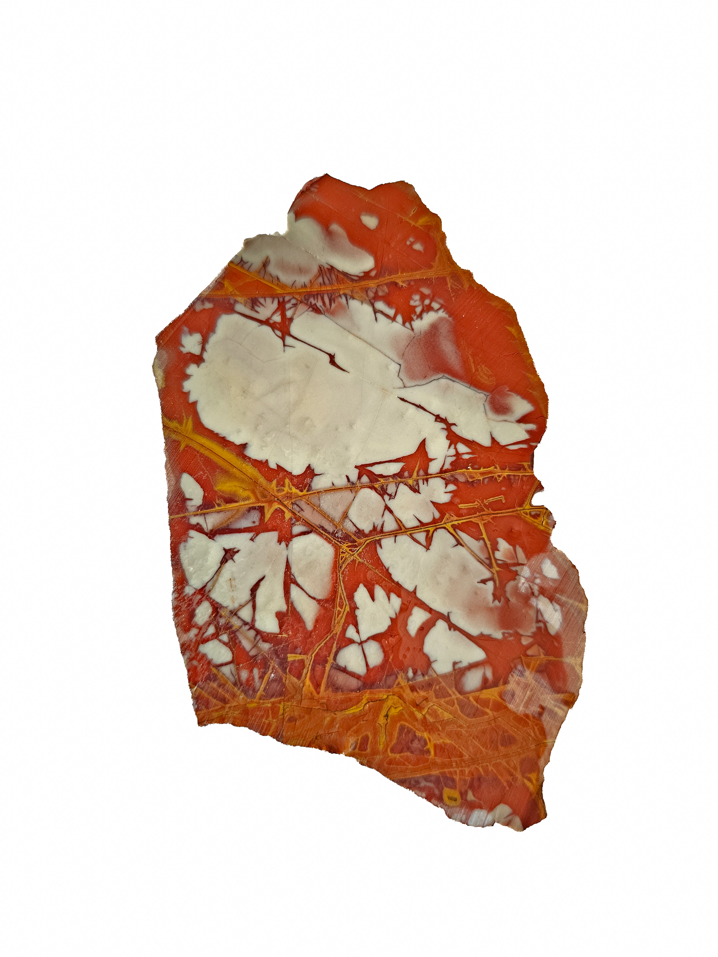 Australian Noreena Jasper Slab 84g