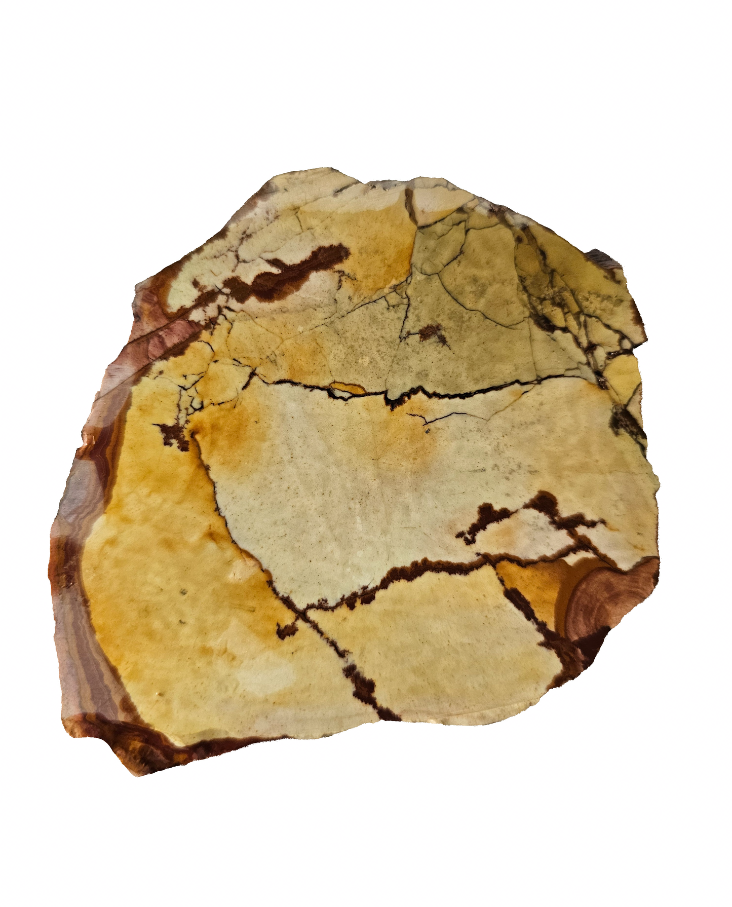 Nevada Dead Camel Jasper Slab 138g