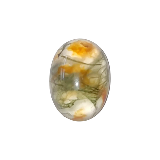 Brazil Moss Agate 1ct