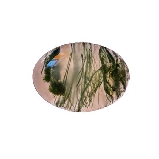 Brazil Moss Agate Oval 4.26ct