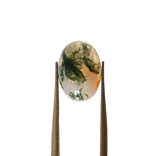 Brazil Moss Agate Oval 5.20ct