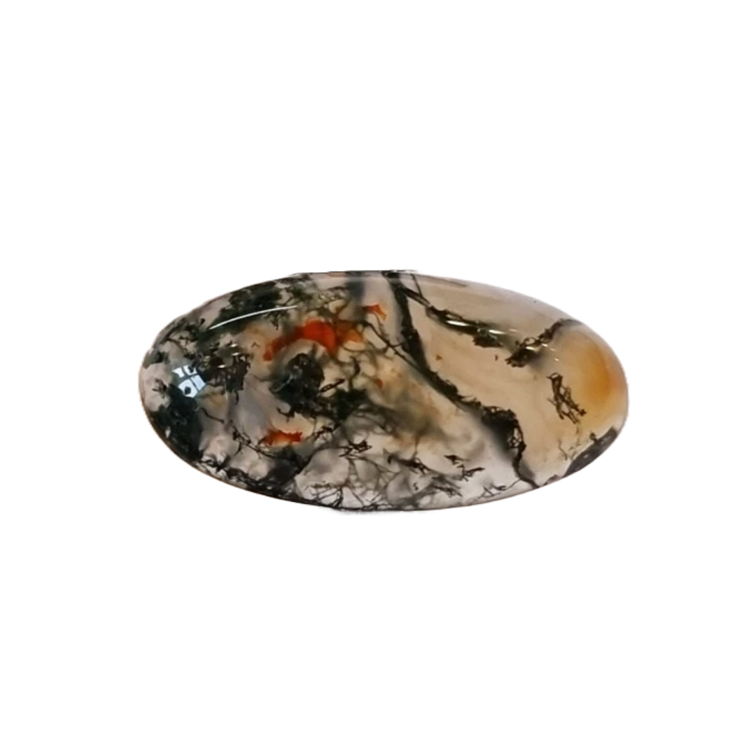 Brazil Moss Agate Oval 9.37ct