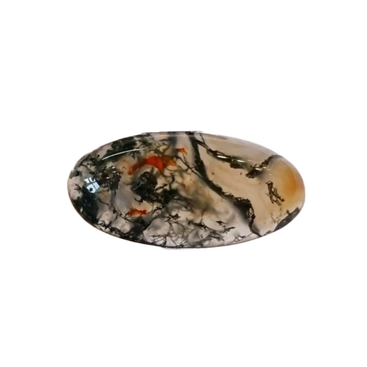 Brazil Moss Agate Oval 9.37ct
