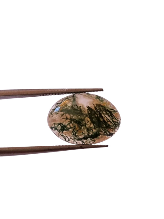 Brazil Moss Agate Oval 3.28ct