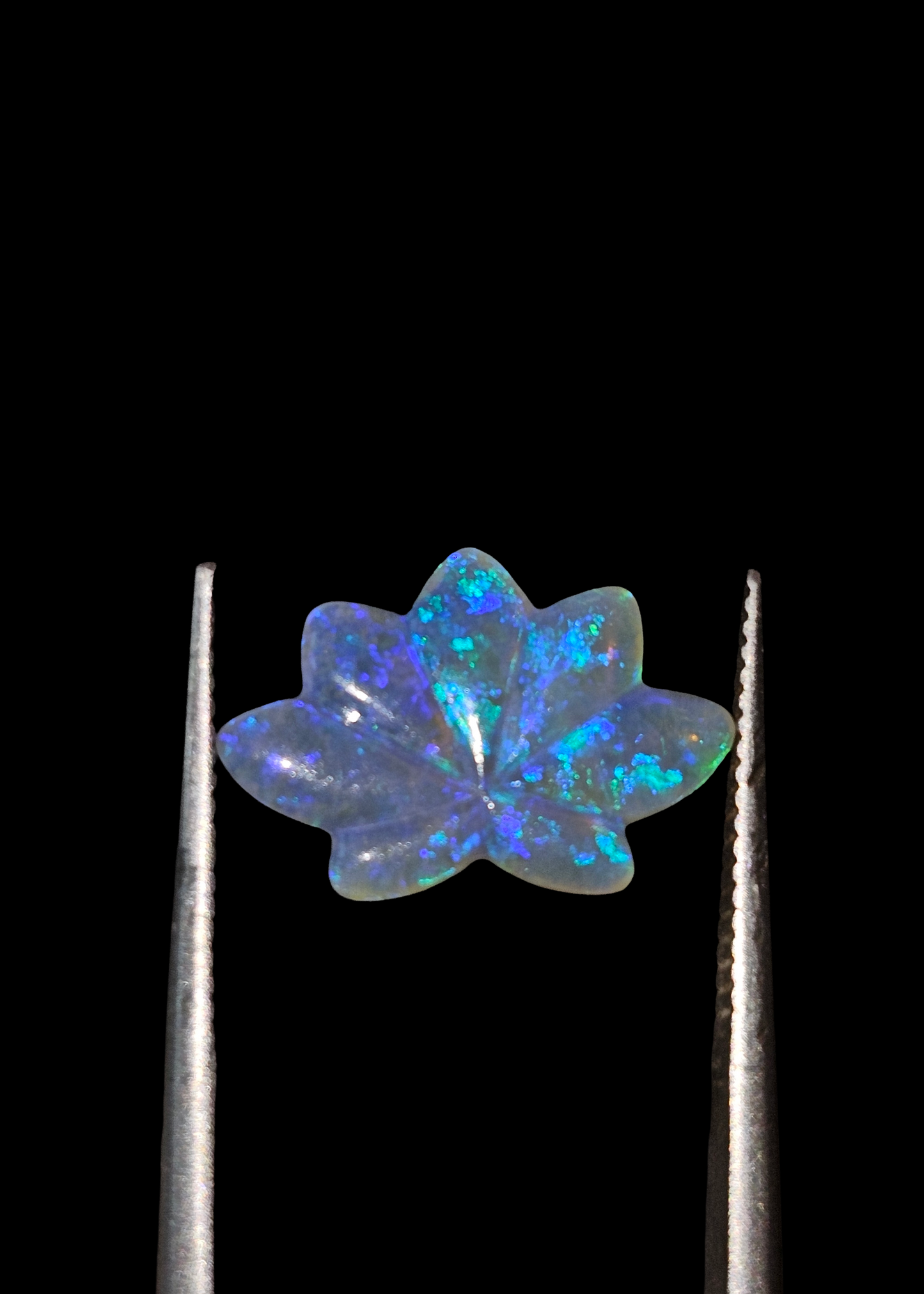 Australian Lightning Ridge Black Opal Realistic Leaf Carving 13x8x2mm 1.36ct