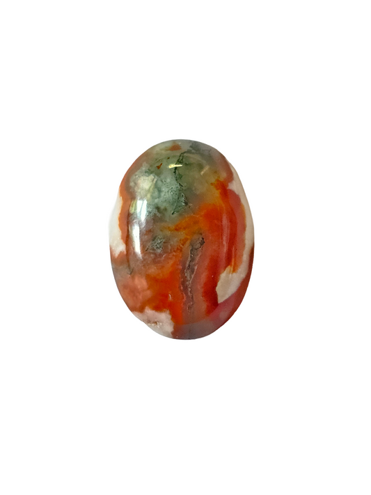 Brazil Moss Agate Oval Cabochon 18x13x5mm 9.14ct