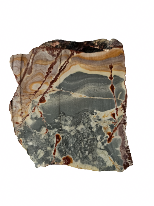 Sonora Dendritic Jasper Slab 115g