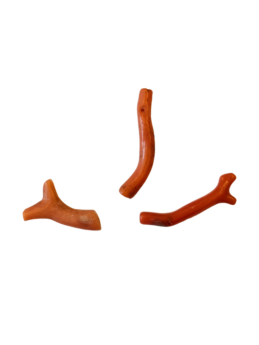 Mediterranean Coral Branches 6.94ct