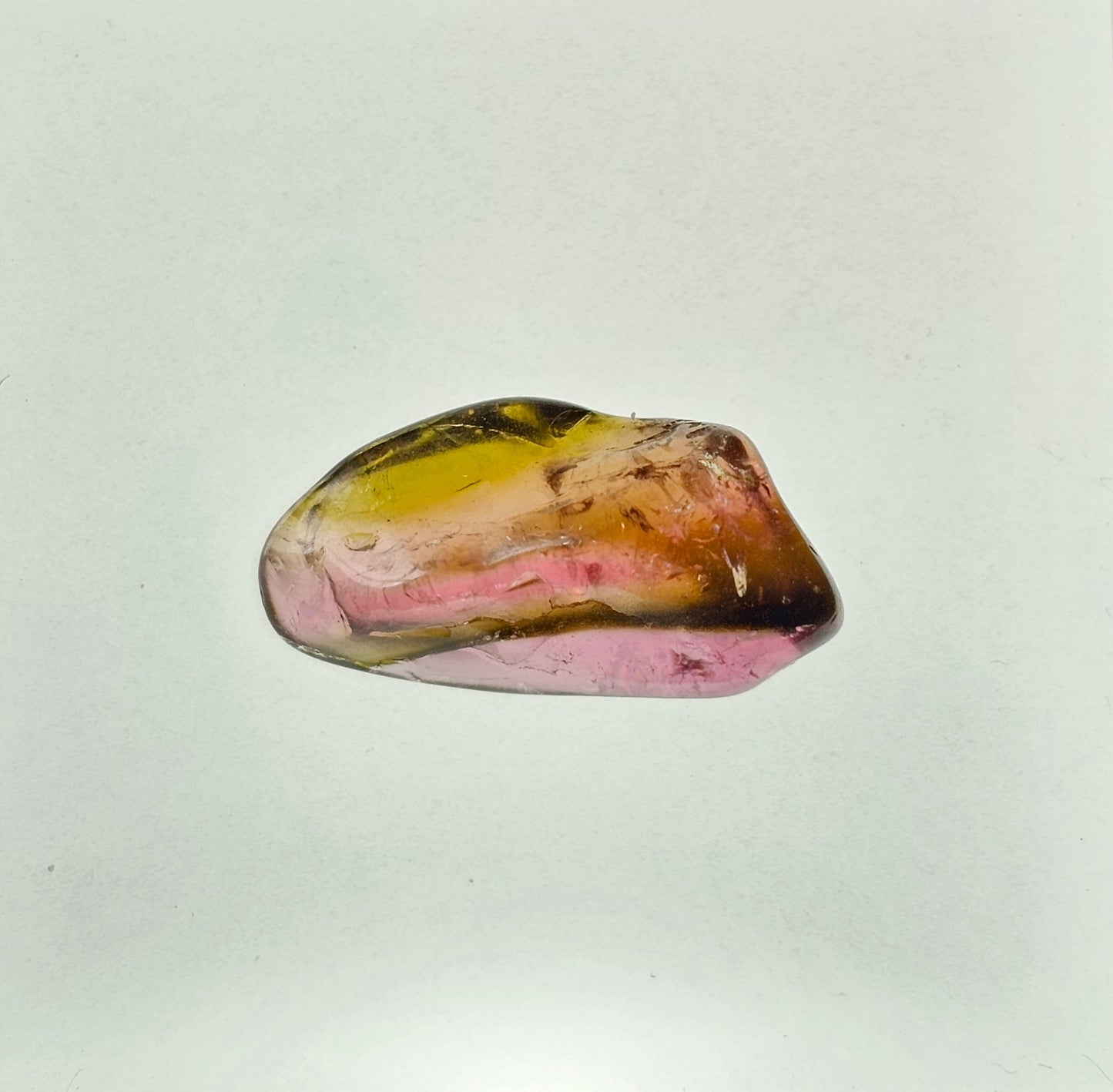 Bi- Colour Watermelon Tourmaline Rough 7.56ct