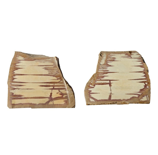 Owyhee Picture Jasper Matching Slabs 145g