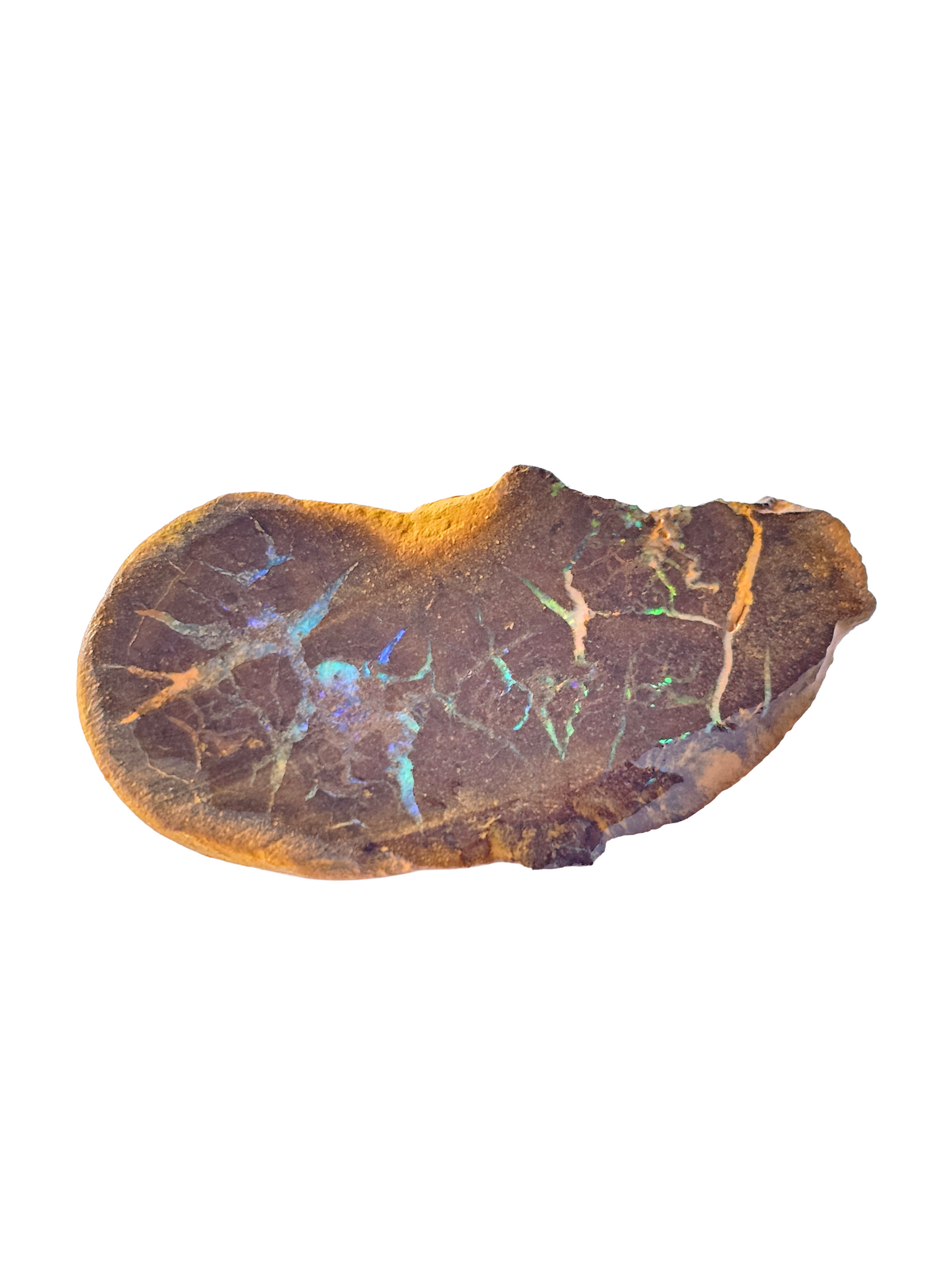 Rough Australian Boulder Opal 10g