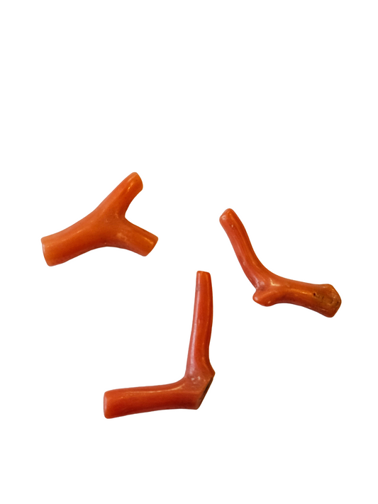 Mediterranean Coral Braches 6.72ct