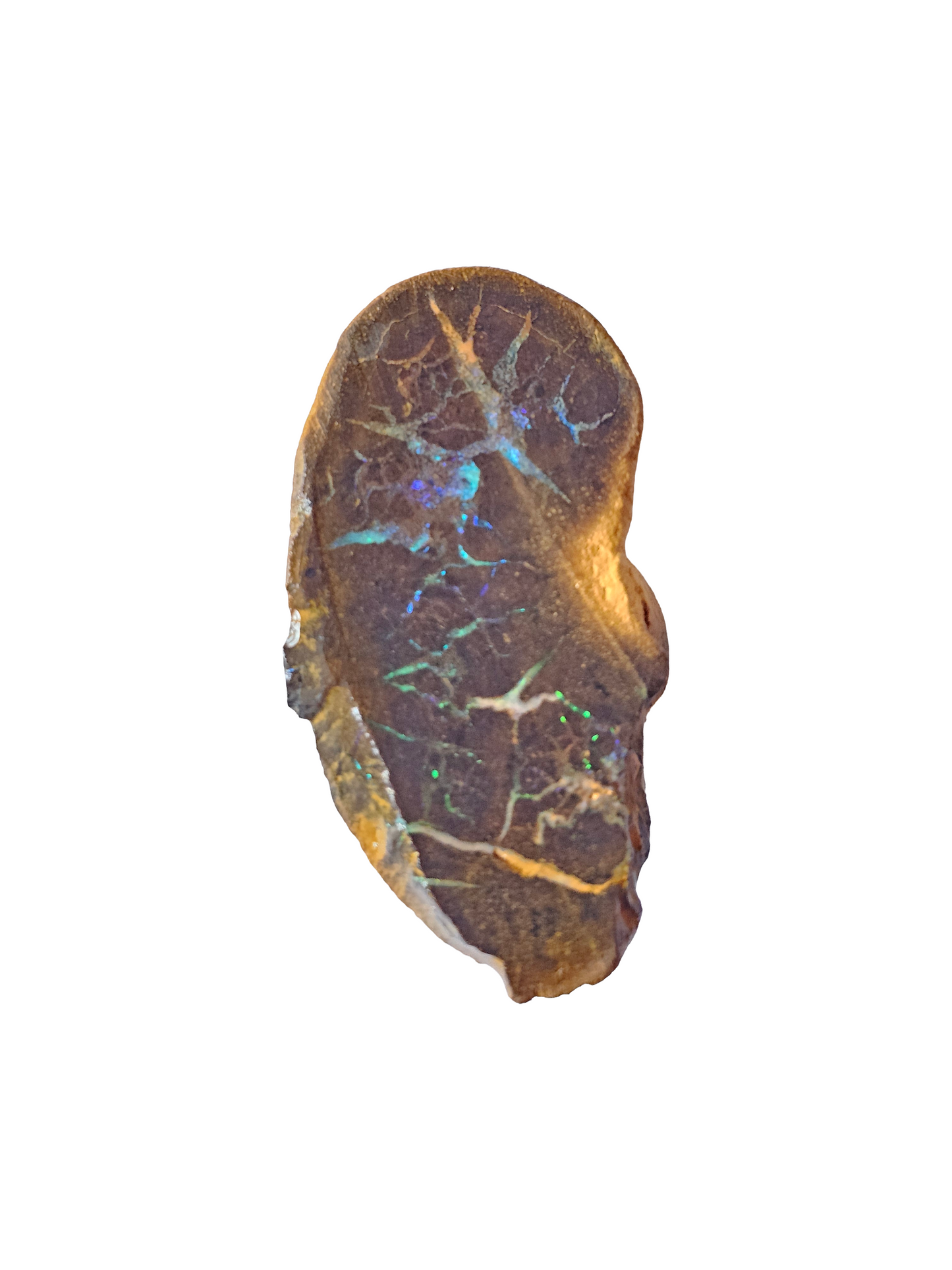 Rough Australian Boulder Opal 10g