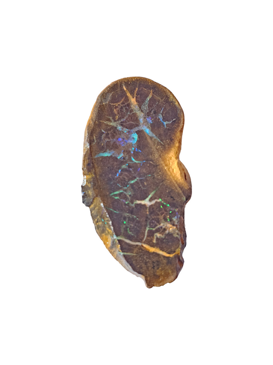 Rough Australian Boulder Opal 10g
