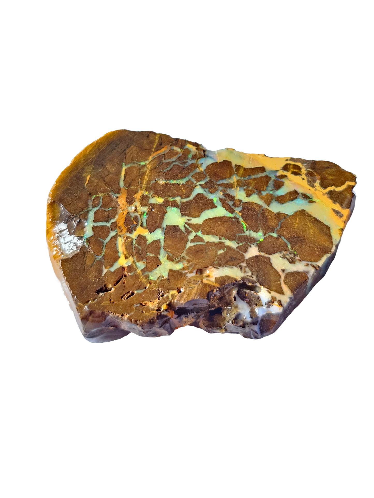 Rough Australian Boulder Opal 35g