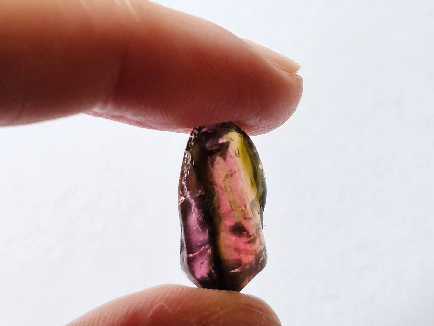 Bi- Colour Watermelon Tourmaline Rough 7.56ct