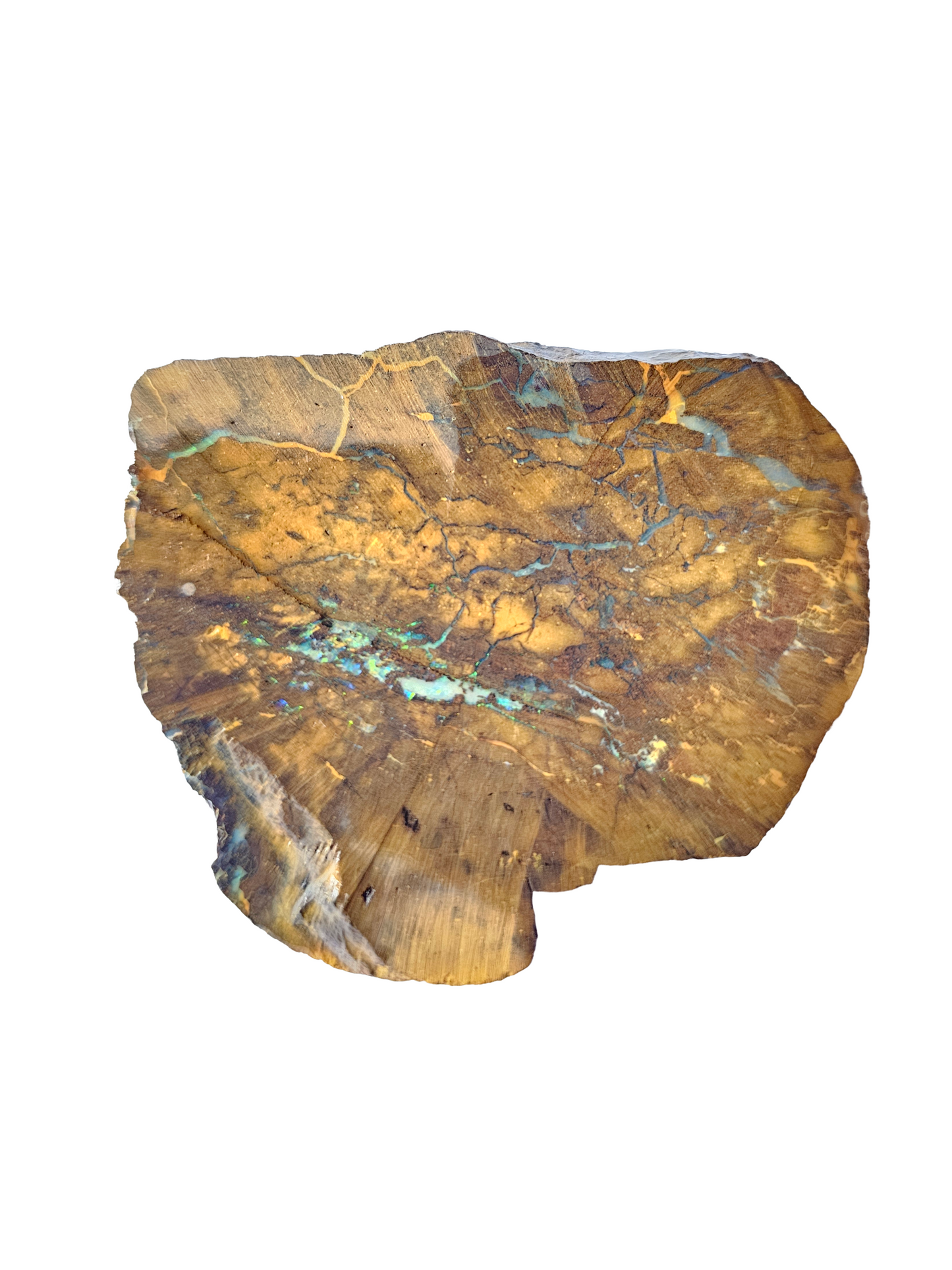 Australian Boulder Opal Specimen 43g
